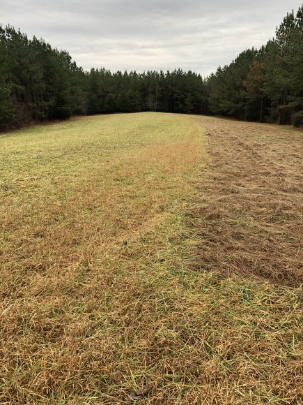 Image for Land Auction (Nathalie, VA)