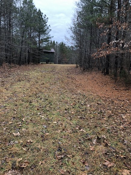 Image for Land Auction (Nathalie, VA)