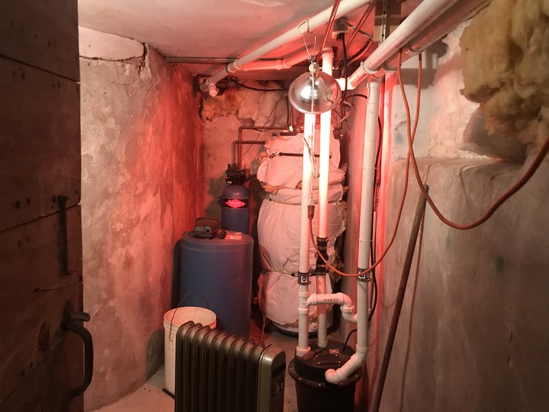 Image for Estate of Diane Lilly