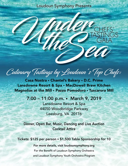 Image for Loudoun Symphony Orchestra Under The Sea Gala