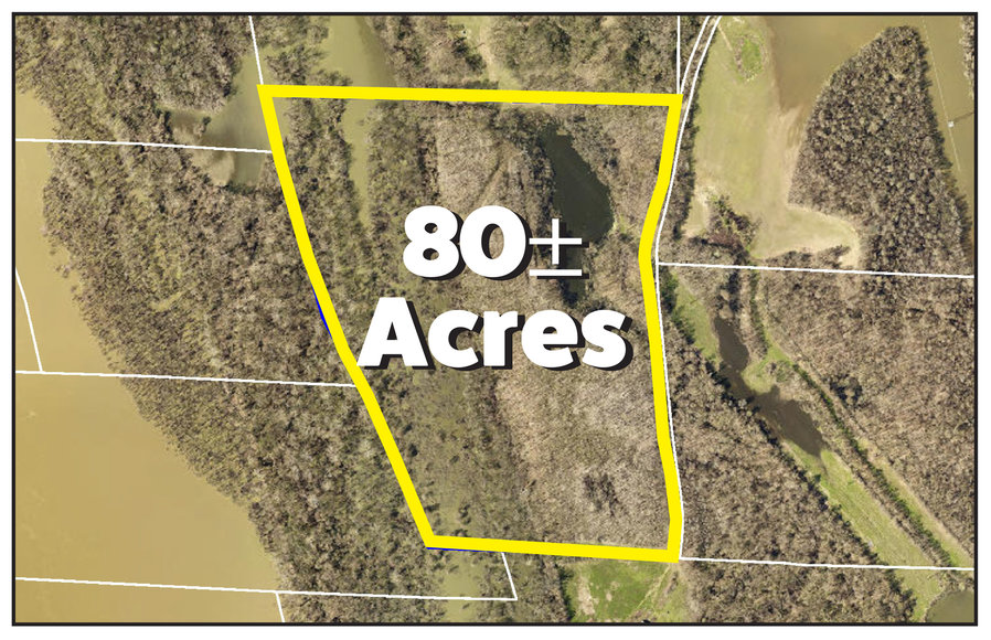 Image for 80± Acres of Land, Perfect for Hunting