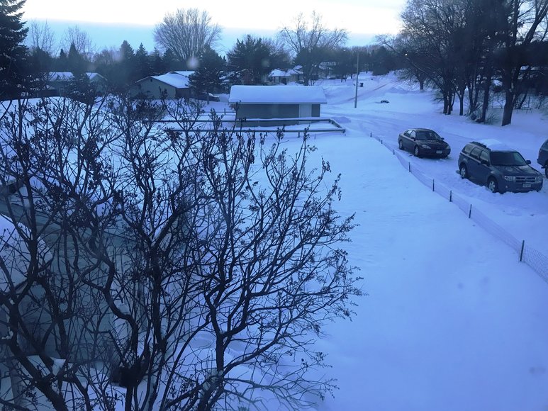 Image for Estate of Diane Lilly