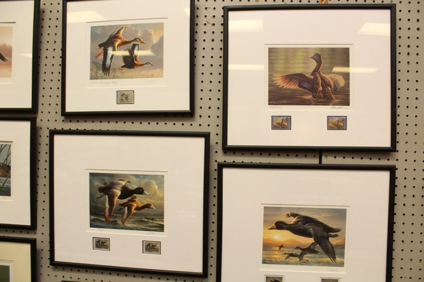 Image for Gallery Auction with Outdoor Sporting: 2-21-19