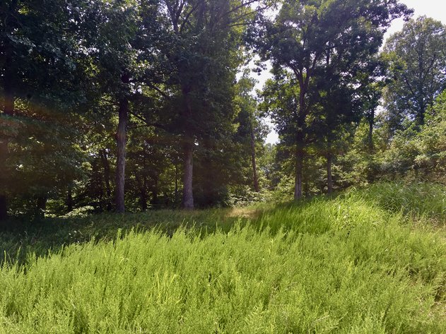 Image for 0 Palisades Dr. Eddyville Ky. 42038