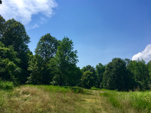 Image for 0 Palisades Dr. Eddyville Ky. 42038