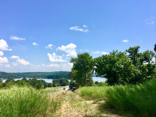 Image for 0 Palisades Dr. Eddyville Ky. 42038