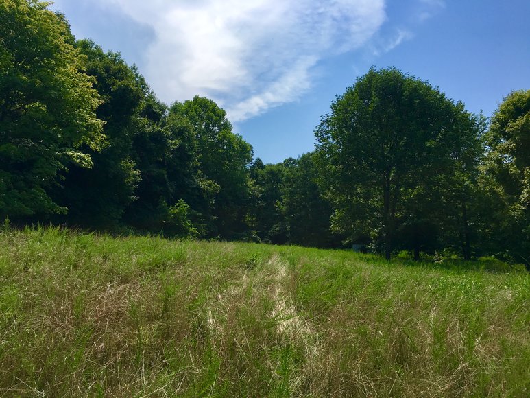 Image for 0 Palisades Dr. Eddyville Ky. 42038