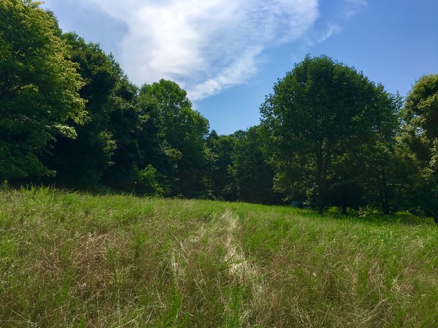 Image for 0 Palisades Dr. Eddyville Ky. 42038