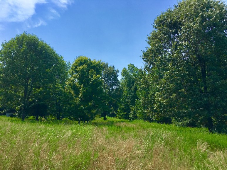 Image for 0 Palisades Dr. Eddyville Ky. 42038