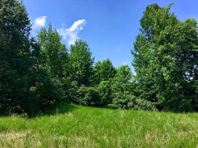 Image for 0 Palisades Dr. Eddyville Ky. 42038