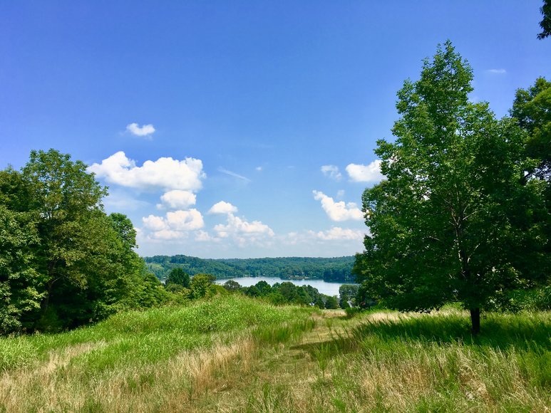 Image for 0 Palisades Dr. Eddyville Ky. 42038