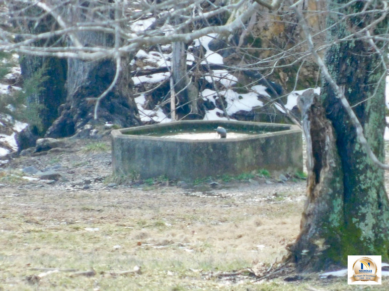 Image for 3 BR/2 BA Home on 11.7 +/- Acres w/12 Stall Barn, 3 Pole Barns, Fencing & Amazing Mountain Views in Madison County, VA--Sells to the Highest Bidder!!