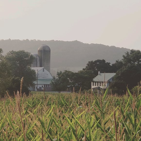 Image for (+/-) 144 Acre Farm Auction - Berks County