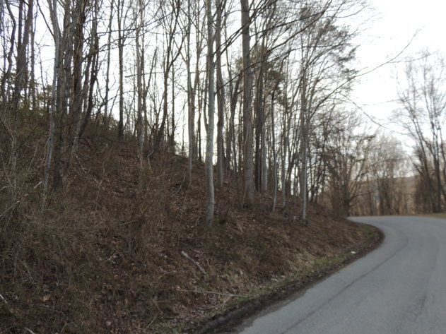 Image for 0.65 Acre Wooded Lot