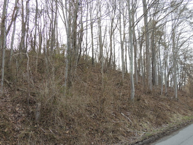Image for 0.65 Acre Wooded Lot