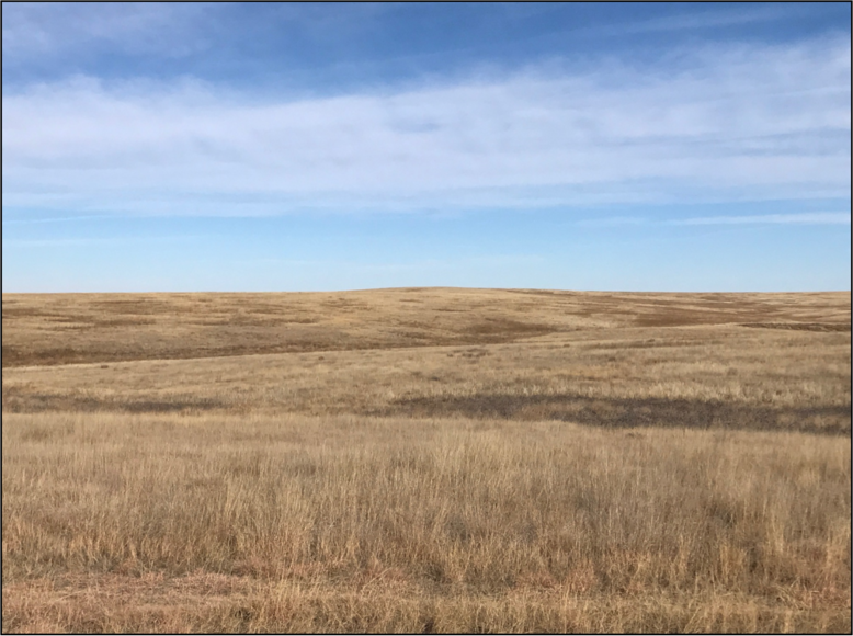 Image for CHRISTINE A. GRAVESEN AUCTION - SUCCESSFUL AUCTION - SOLD $257,000.00