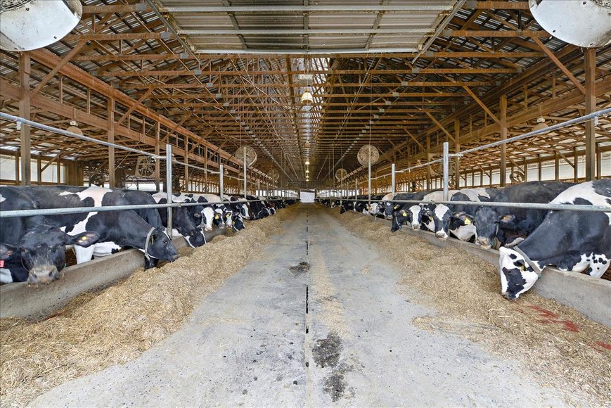 Image for (+/-) 144 Acre Farm Auction - Berks County