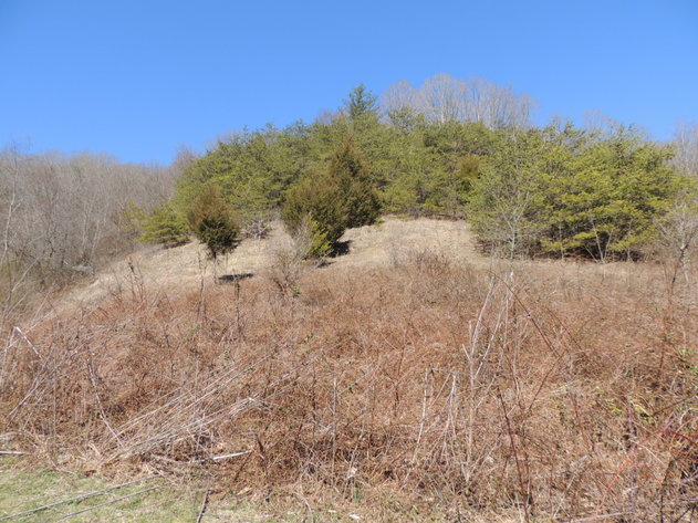 Image for 31.69 Acres Recreational & Hunting Land