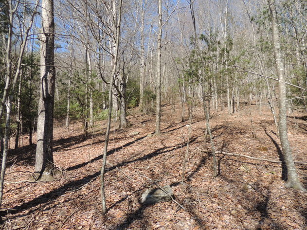 Image for 31.69 Acres Recreational & Hunting Land