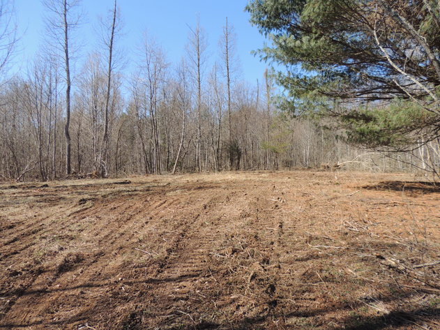 Image for 145.82 Acres Overlooking the New River