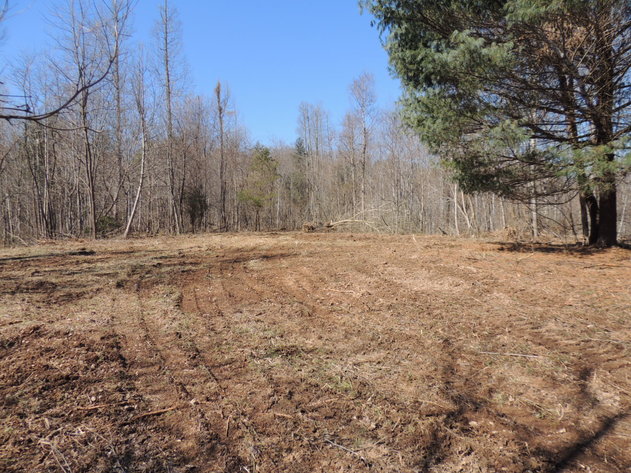 Image for 145.82 Acres Overlooking the New River