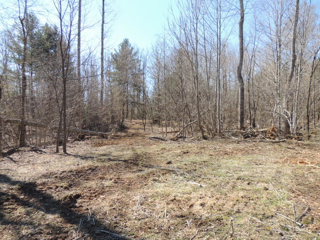 Image for 145.82 Acres Overlooking the New River