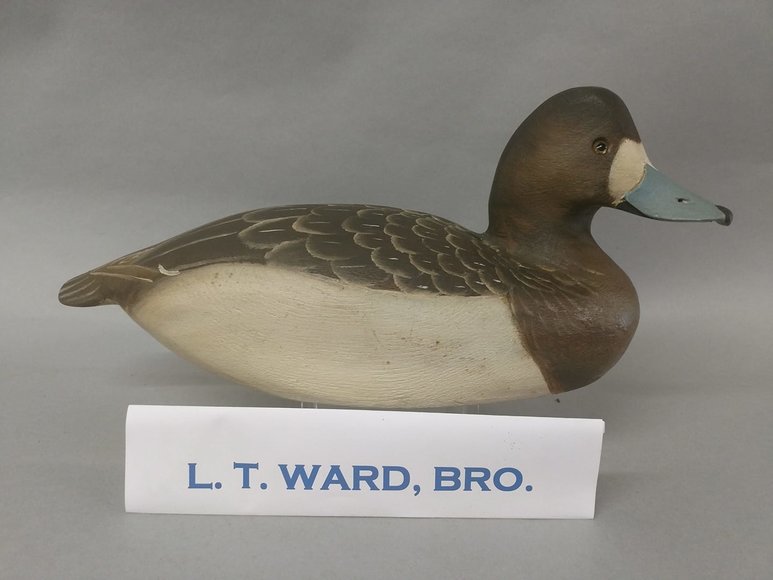 Image for Summer Sportsman's Timed Auction