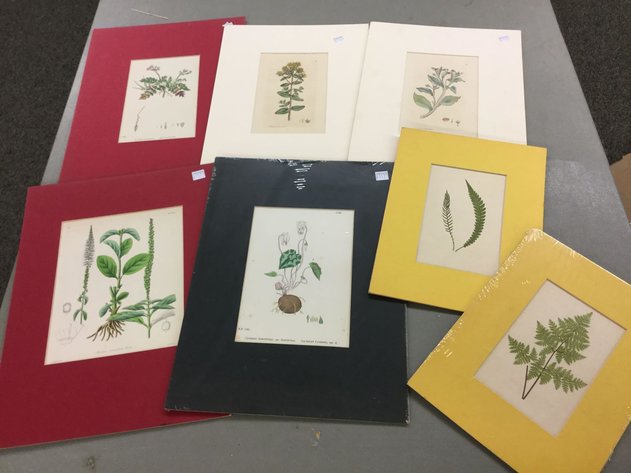 Image for Discovery Art Auction: 3-21-19