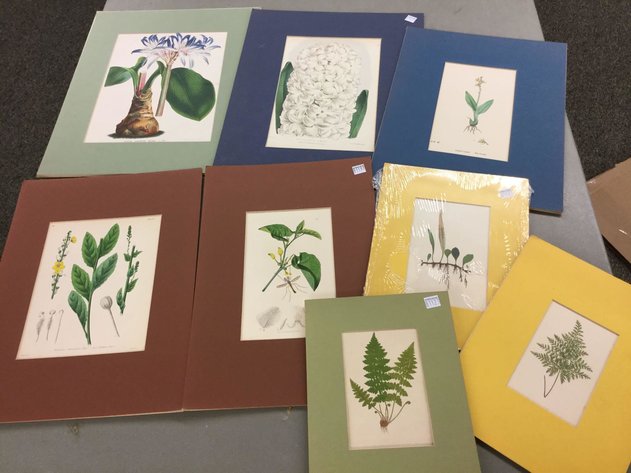 Image for Discovery Art Auction: 3-21-19