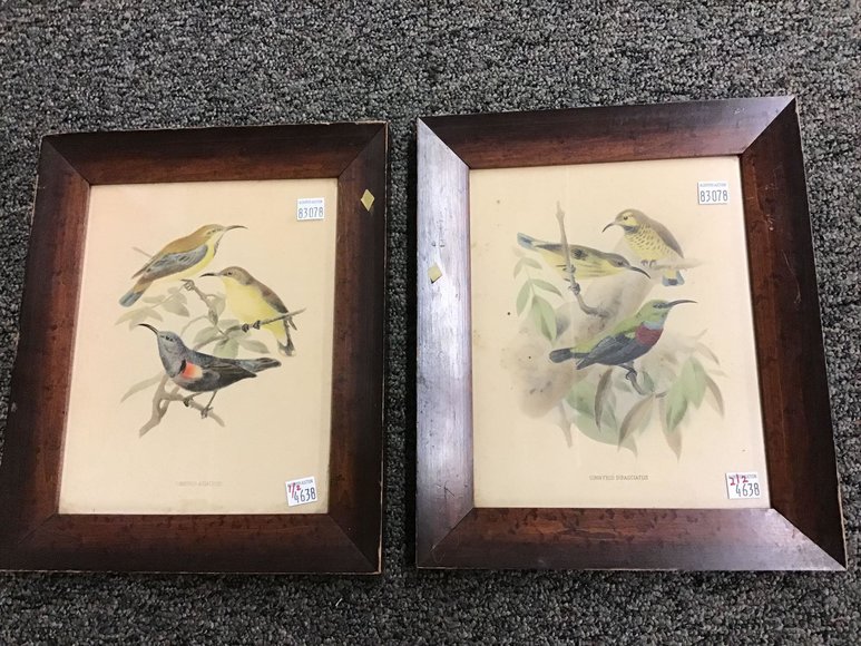 Image for Discovery Art Auction: 3-21-19