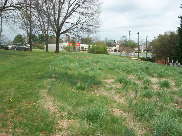 Image for 5.848 Acres Commercial Real Estate (Amherst County)