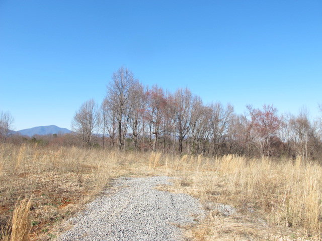 Image for Real Estate Auction: 4 Properties (Bedford County, VA)