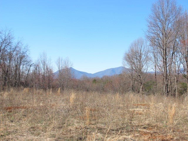 Image for Real Estate Auction: 4 Properties (Bedford County, VA)
