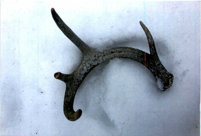 Image for Approximately 160 acres on Nature Rd, Section 15 Town of Matteson, Waupaca County.