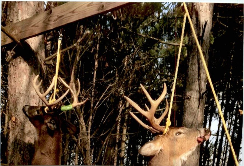 Image for Approximately 160 acres on Nature Rd, Section 15 Town of Matteson, Waupaca County.