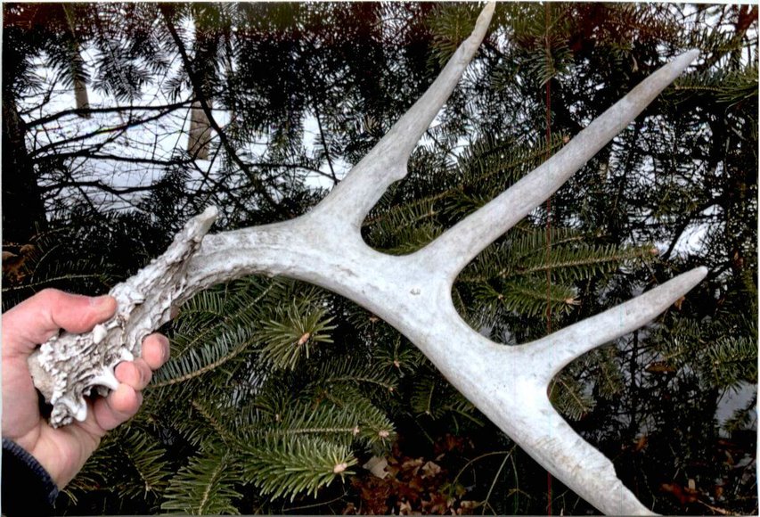 Image for Approximately 160 acres on Nature Rd, Section 15 Town of Matteson, Waupaca County.