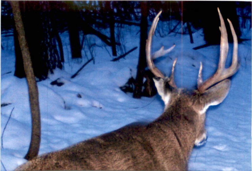 Image for Approximately 160 acres on Nature Rd, Section 15 Town of Matteson, Waupaca County.