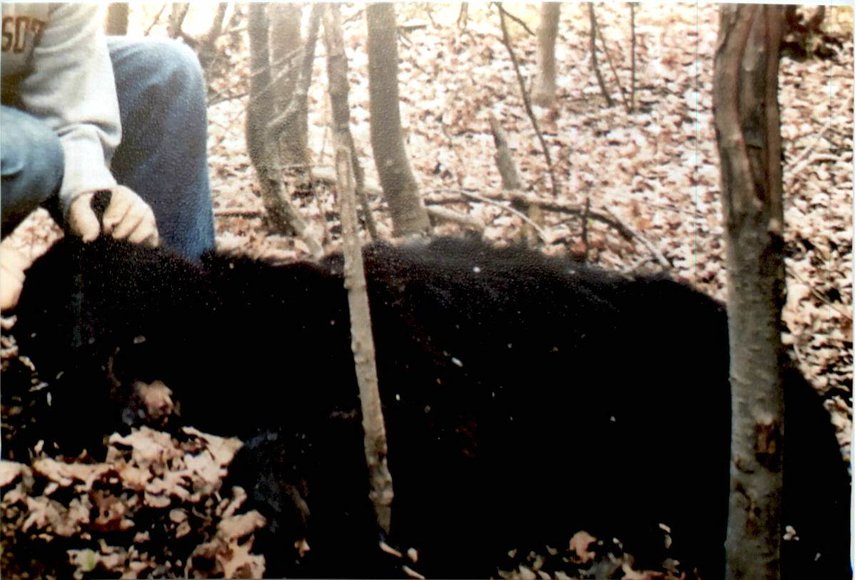 Image for Approximately 160 acres on Nature Rd, Section 15 Town of Matteson, Waupaca County.