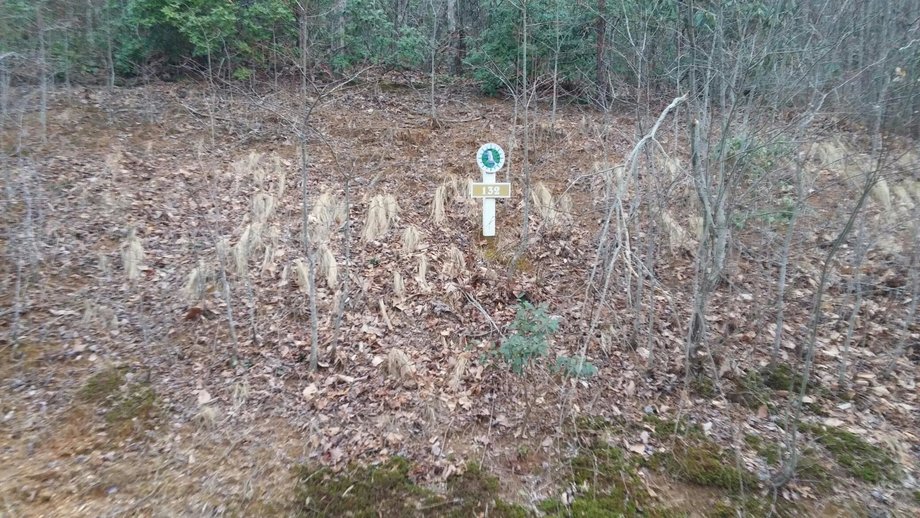 Image for Lot in Catawba Falls Preserve Subdivision - Black Mountain, NC