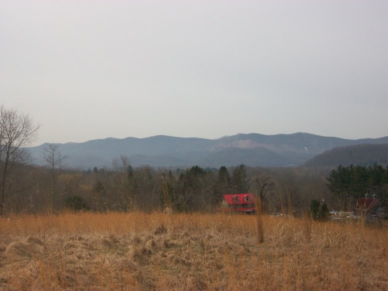 Image for LAND AUCTION: 40+/- ACRES IN ELKINS, WV