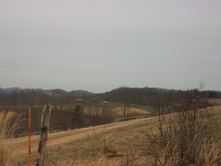 Image for LAND AUCTION: 40+/- ACRES IN ELKINS, WV