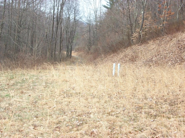 Image for LAND AUCTION: 40+/- ACRES IN ELKINS, WV