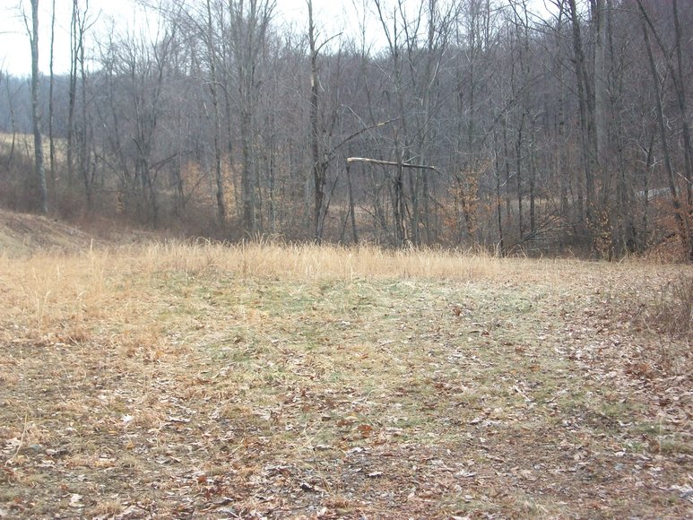 Land Auction 40+/ Acres in Elkins, WV