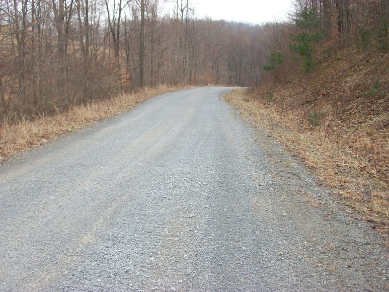 Image for LAND AUCTION: 40+/- ACRES IN ELKINS, WV