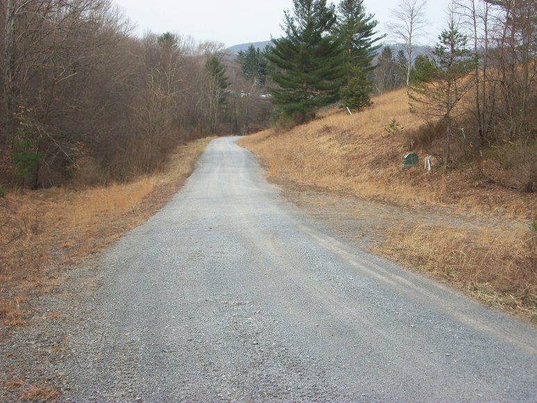 Image for LAND AUCTION: 40+/- ACRES IN ELKINS, WV