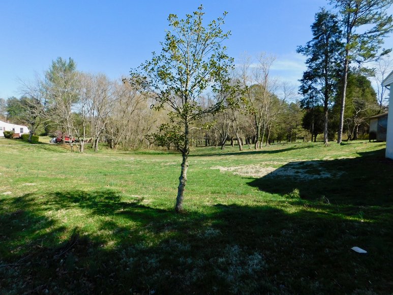 Image for Well built 3 BR/2 BA Brick Home on .83 +/- Acres w/Detached Double Bay Garage/Workshop in Orange County, VA