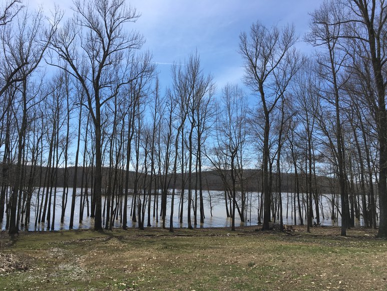 Image for Absolute Auction: Donaldson Shores Drive Cadiz, KY