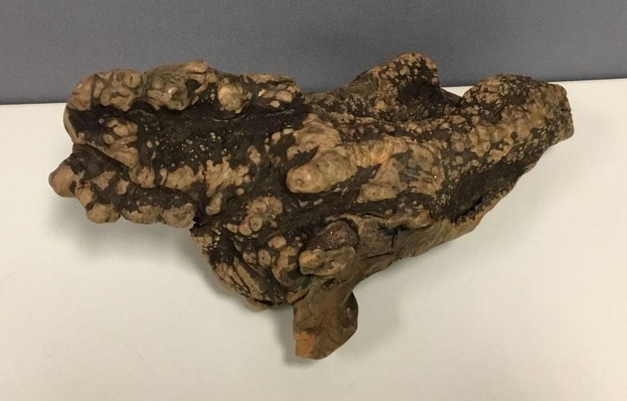 Image for Gallery Auction: 4-11-19