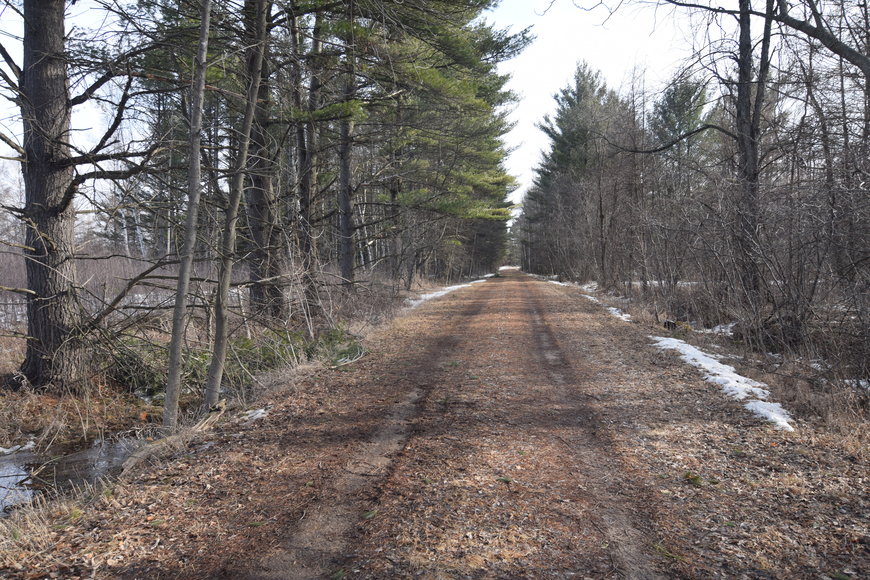 Image for Approximately 160 acres on Nature Rd, Section 15 Town of Matteson, Waupaca County.