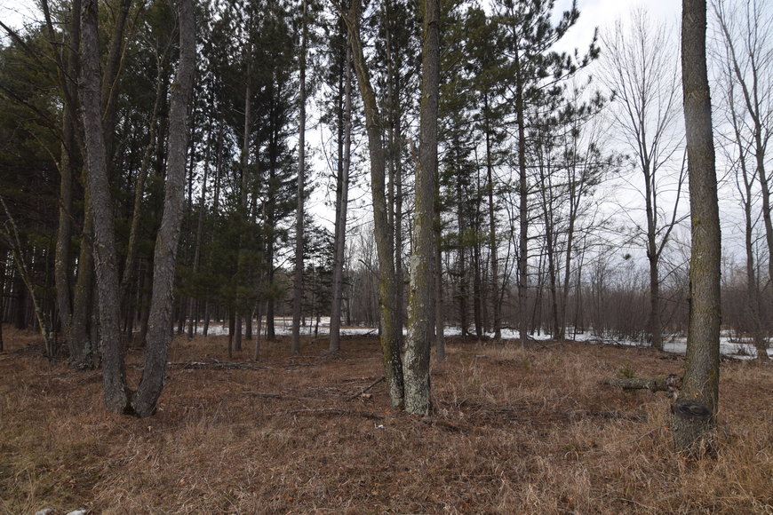 Image for Approximately 160 acres on Nature Rd, Section 15 Town of Matteson, Waupaca County.